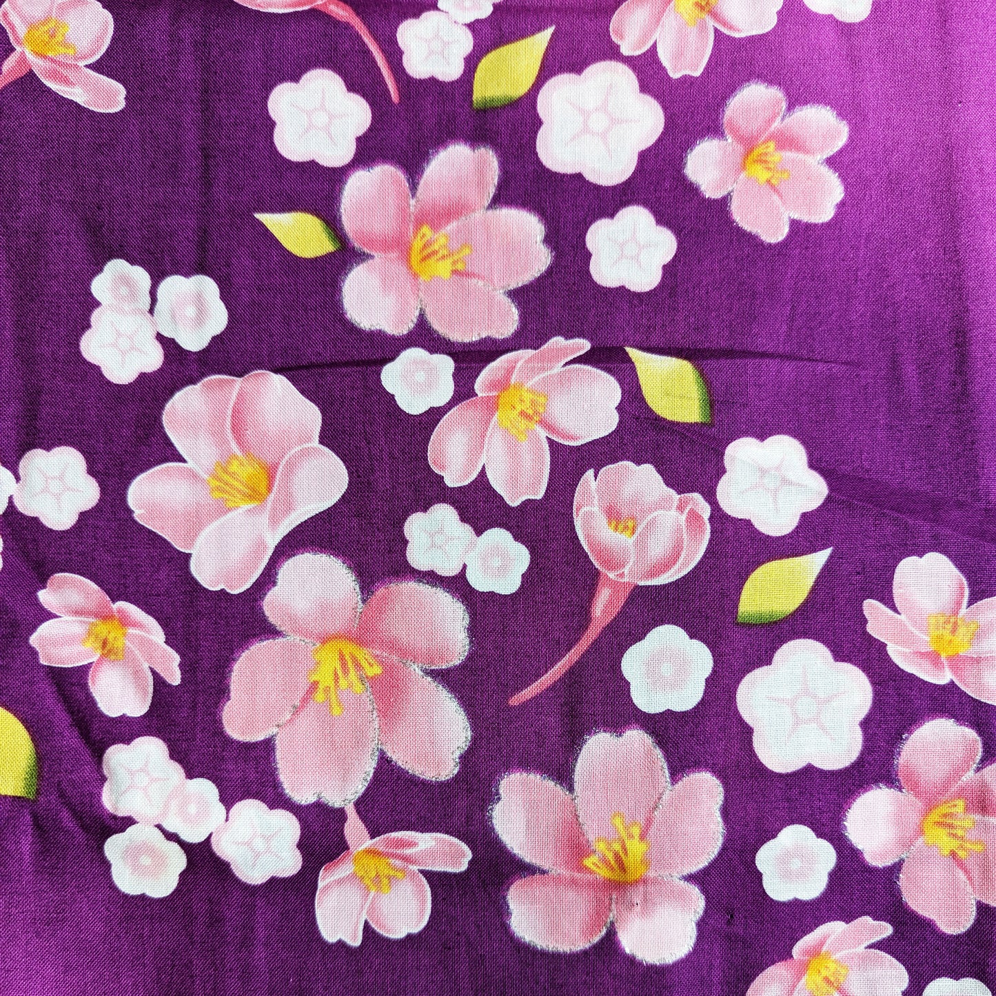 Japanese Traditional Yukata Kimono Plus Size - Cherry Blossoms in Gradient Purple