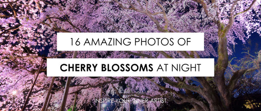 16 Amazing Photos of Cherry Blossoms at Night