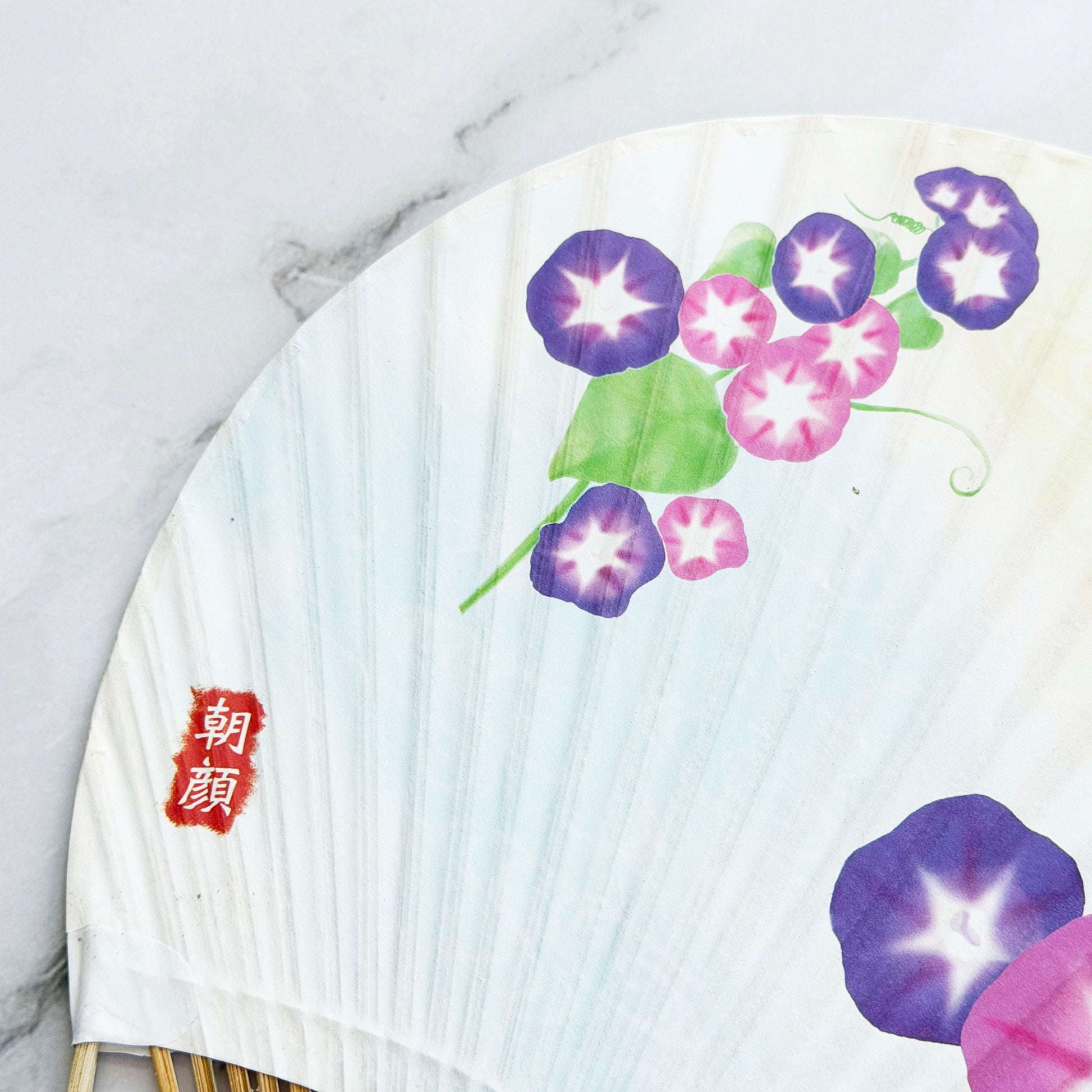 Japanese Handheld Uchiwa Bamboo Fan - Morning Glory in White