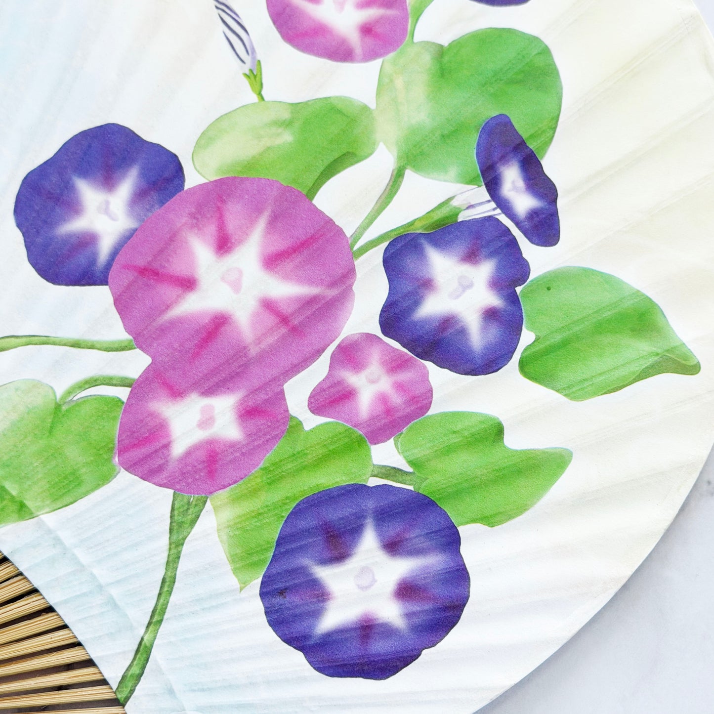 Japanese Handheld Uchiwa Bamboo Fan - Morning Glory in White