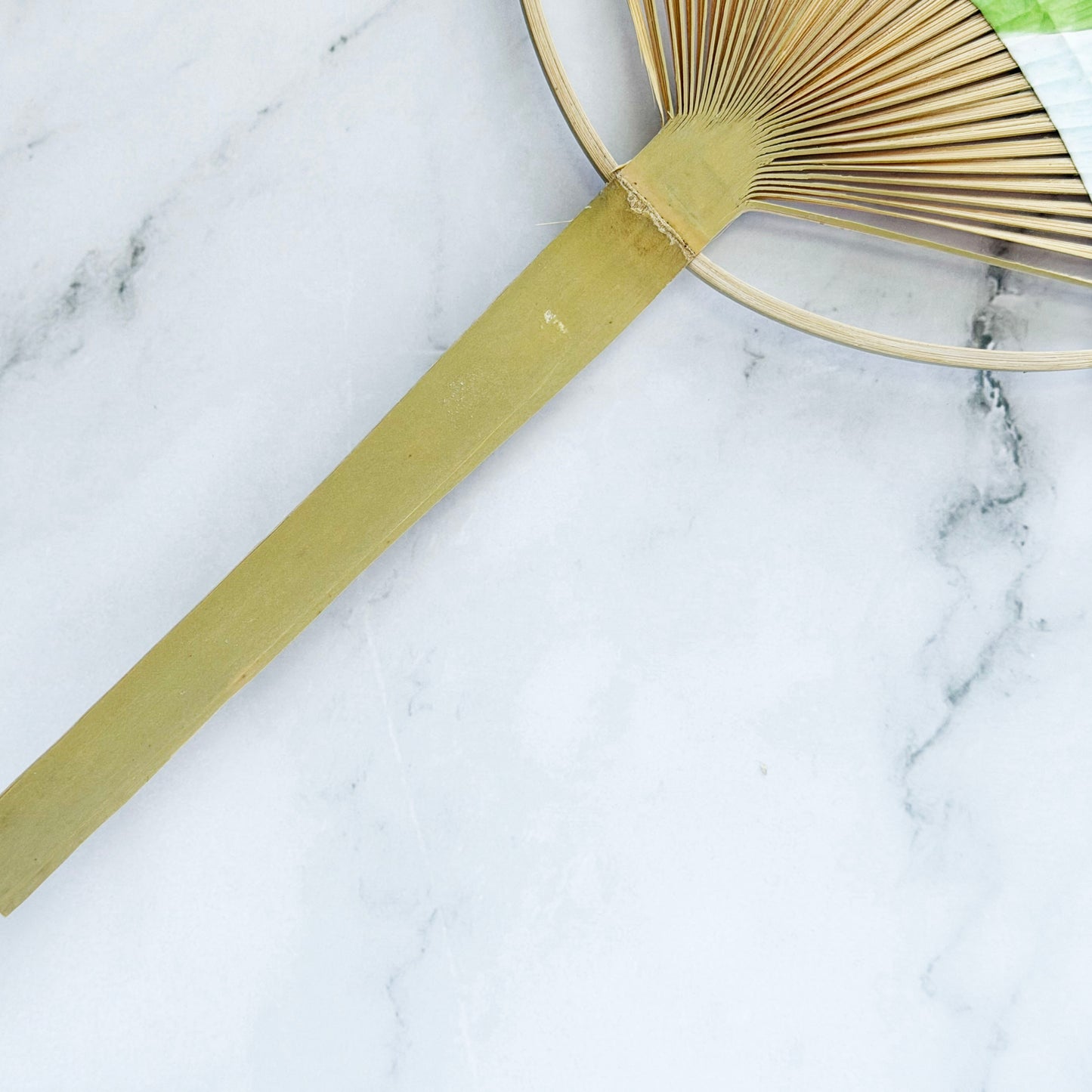 Japanese Handheld Uchiwa Bamboo Fan - Morning Glory in White