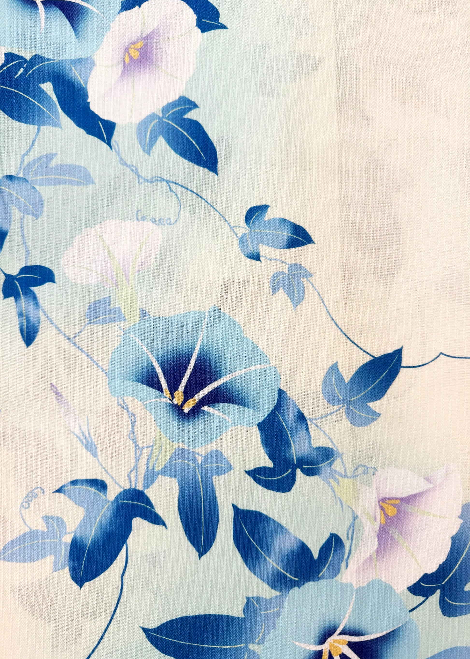 Traditional Japanese Summer Yukata Kimono - Blue Morning Glory Cream